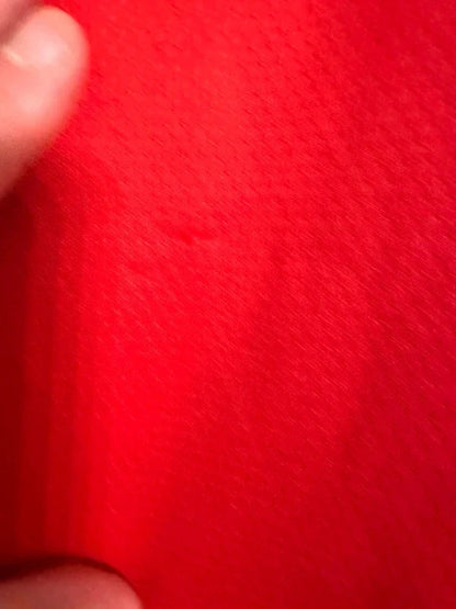Maillot Benfica 2016-2017 Ruben Dias